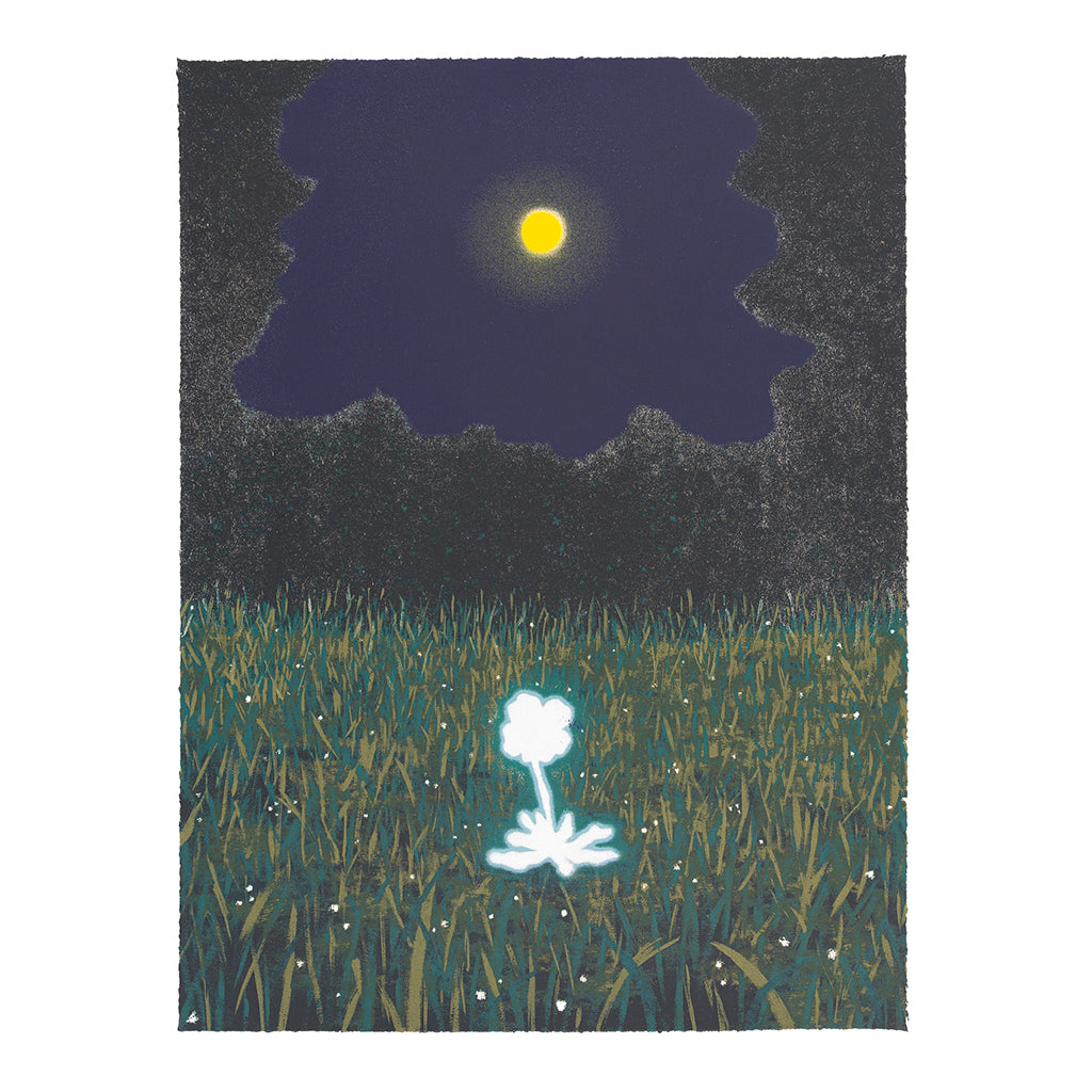 I woke up. The moon is full, so I send my wishes to the universe