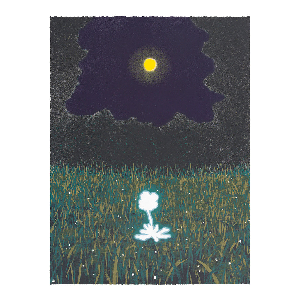 I woke up. The moon is full, so I send my wishes to the universe