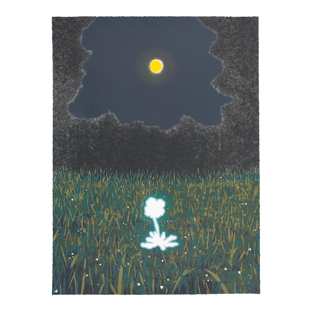 I woke up. The moon is full, so I send my wishes to the universe