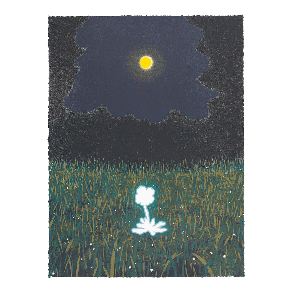 I woke up. The moon is full, so I send my wishes to the universe