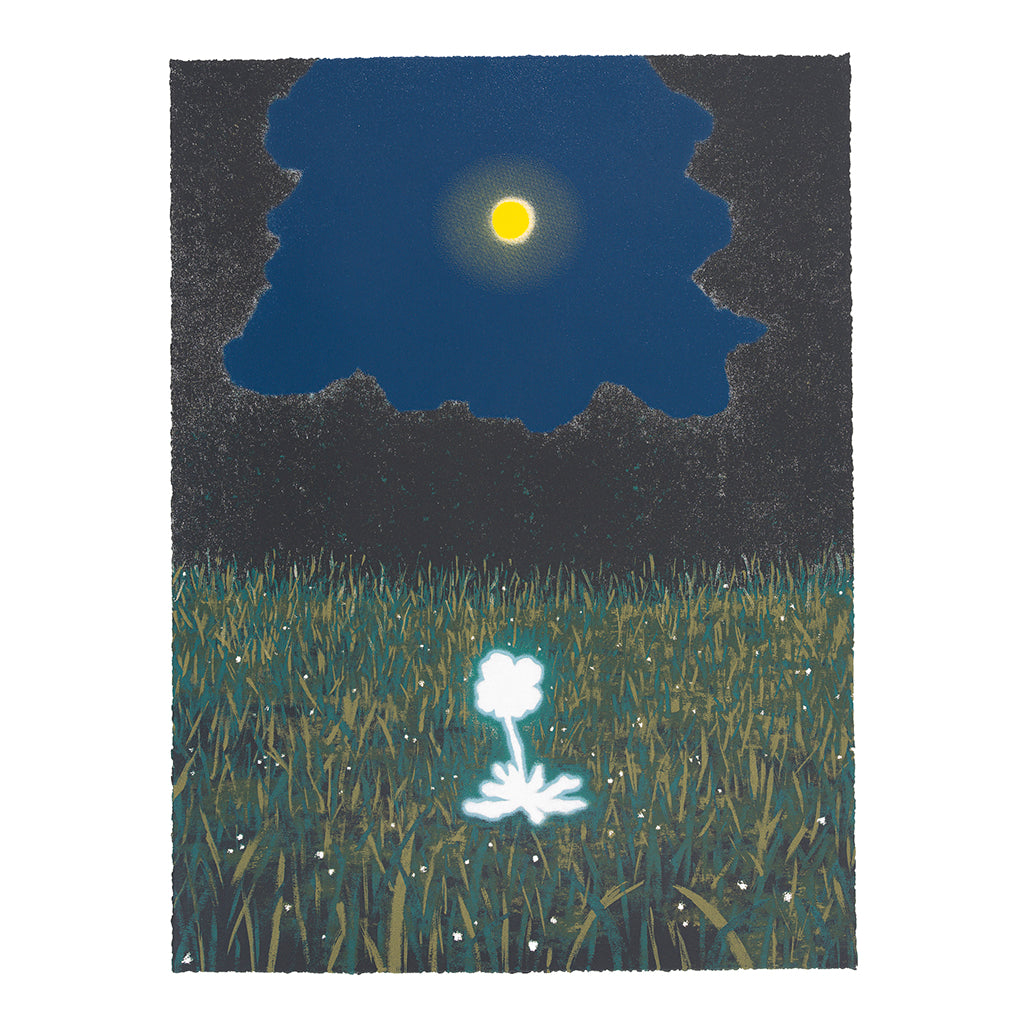 I woke up. The moon is full, so I send my wishes to the universe