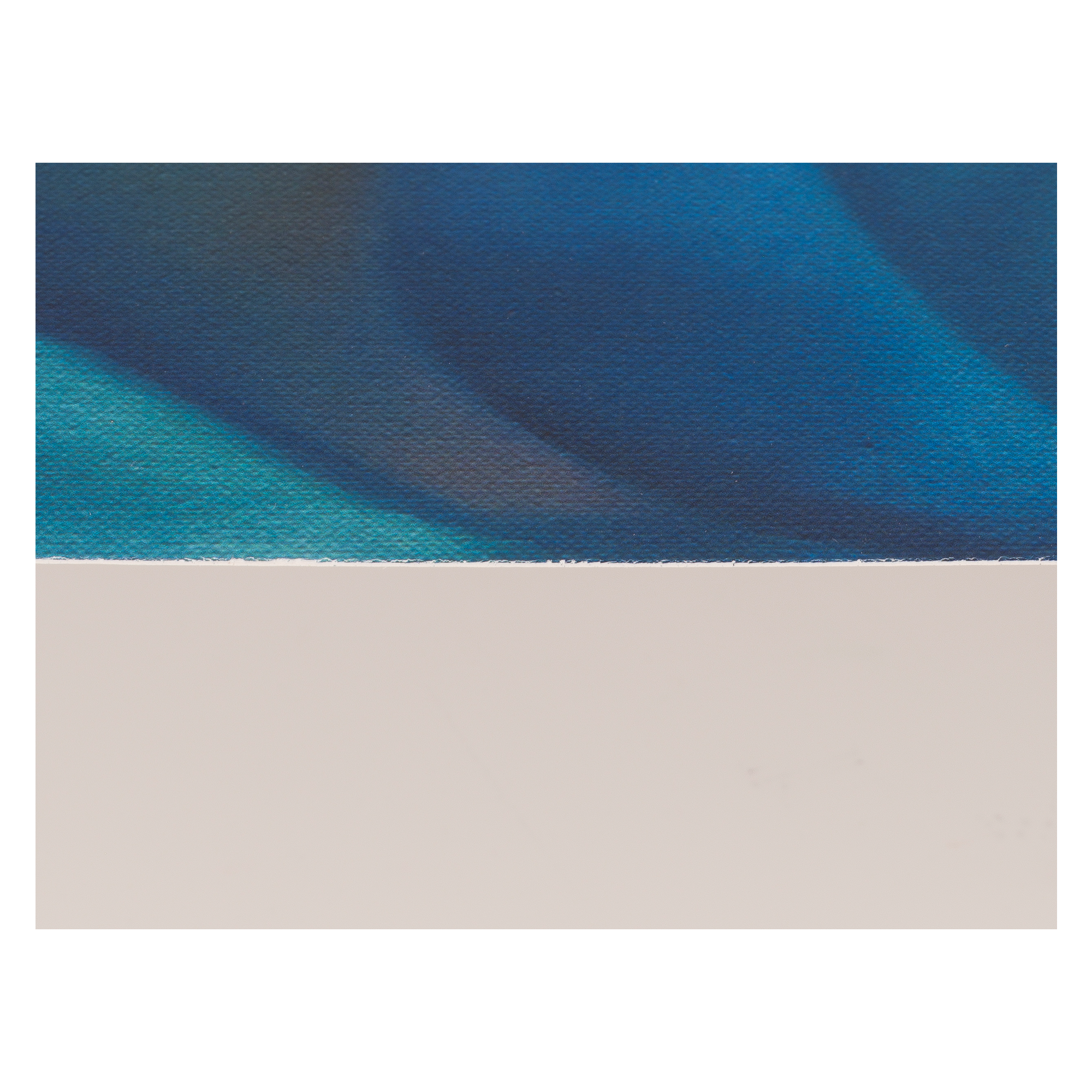 The Best Whistler in the World