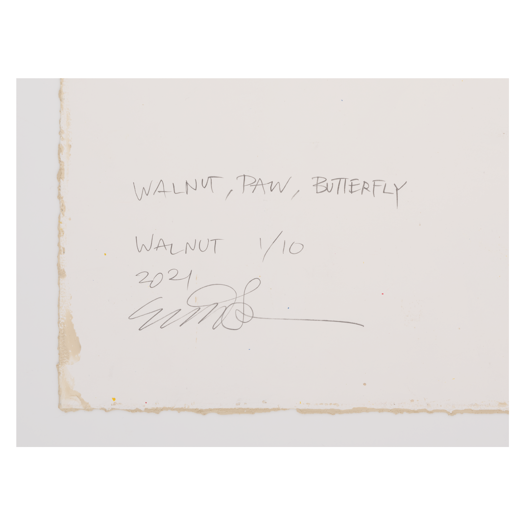 Paw, Walnut, Butterfly (Walnut)